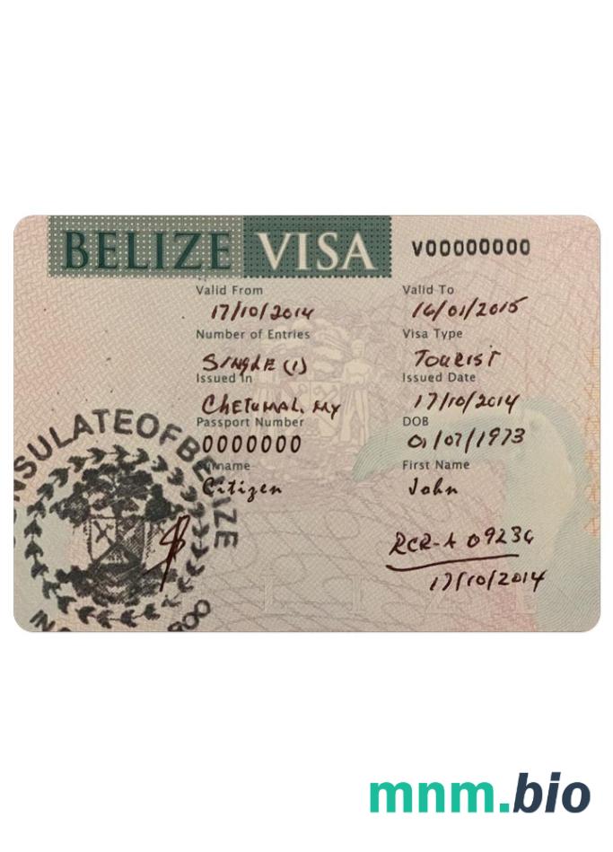 Wiza do Belize w formacie PSD
